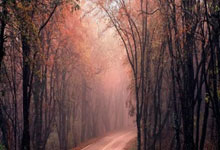 肢体语言专家：图赫尔会有批判性评估，证明自己对球员很重要.