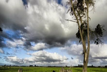 NG28官网:中国女队时隔6年再次出战香港“七榄”核心赛.