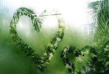 NG28官网：中国女队时隔6年再次出战香港“七榄”核心赛.