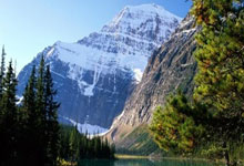 NG28官网：作用不大，申京11中5取14分7板6助1帽，最后惨遭詹姆斯大帽.