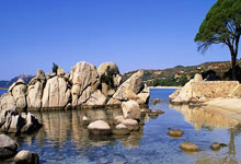 NG28官网：中国女队时隔6年再次出战香港“七榄”核心赛.